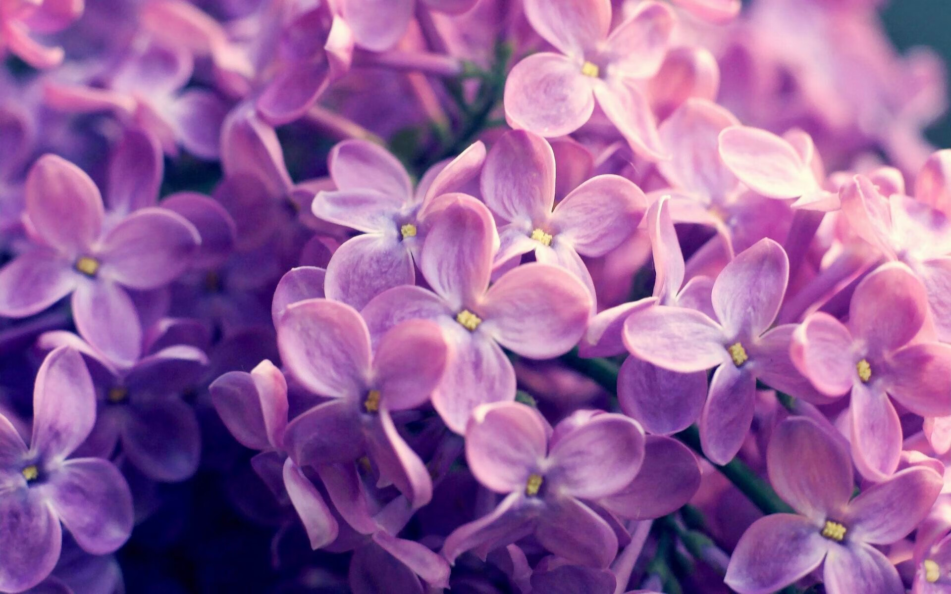 德甲比赛精彩瞬间，战术变化引领潮流，德甲的比赛