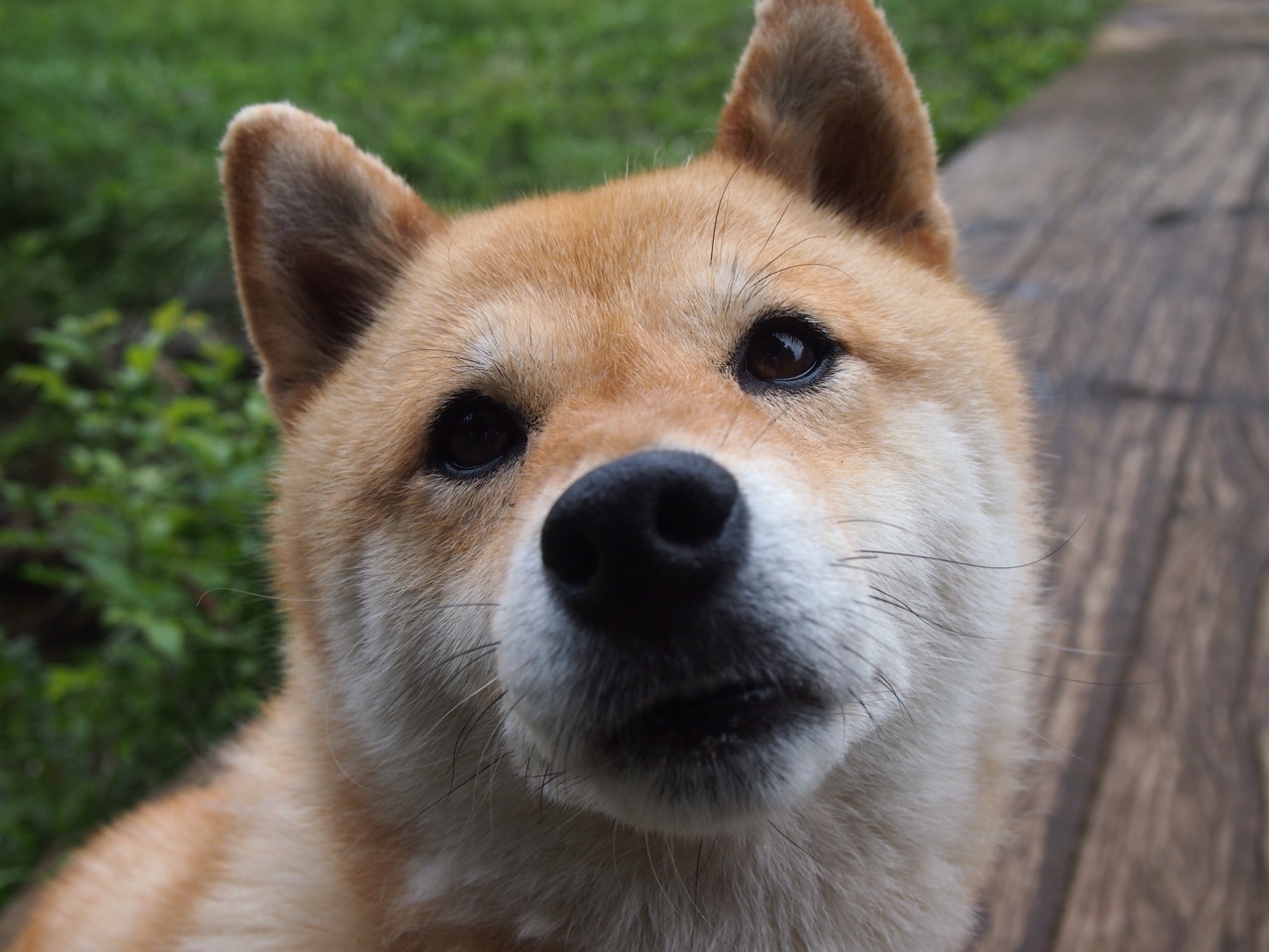 Kaiyun APP-凯尔特人新秀被哈佛邀请演讲，主题聚焦团队与信任，凯尔特人 新秀