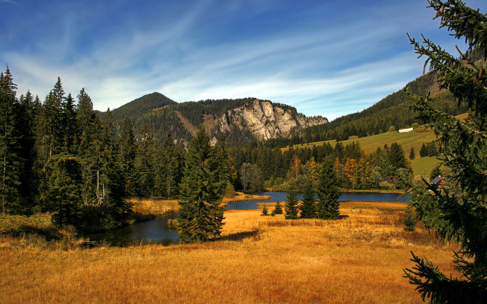 kaiyun中国官方网站-史上最壮观“冠军夜”回忆，荣耀永载史册，冠军之夜歌曲