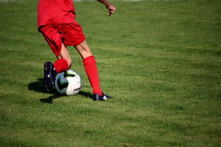 kering.com-CBA球队完善伤病防护体系保障运动员健康和职业生涯，cba球员伤情报告